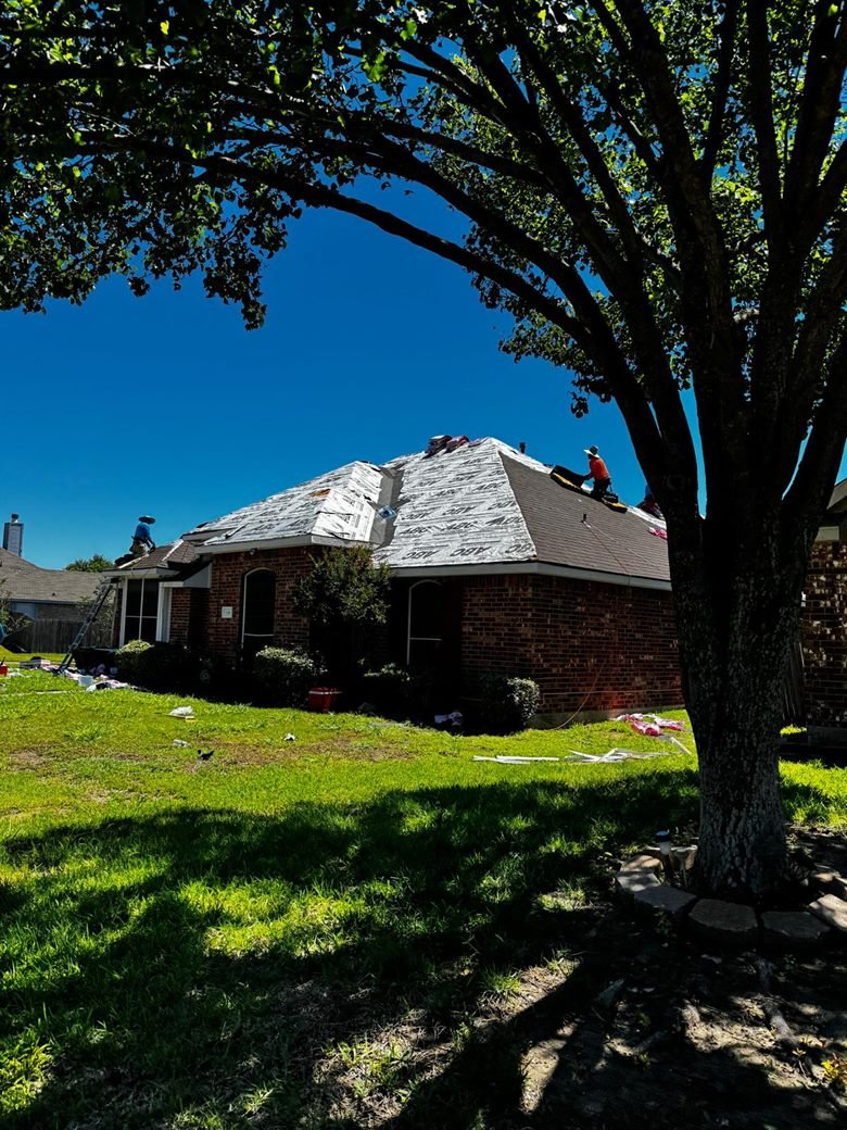 Crew working on a roof covered in fresh underlayment, framed by an oak tree against a deep blue sky